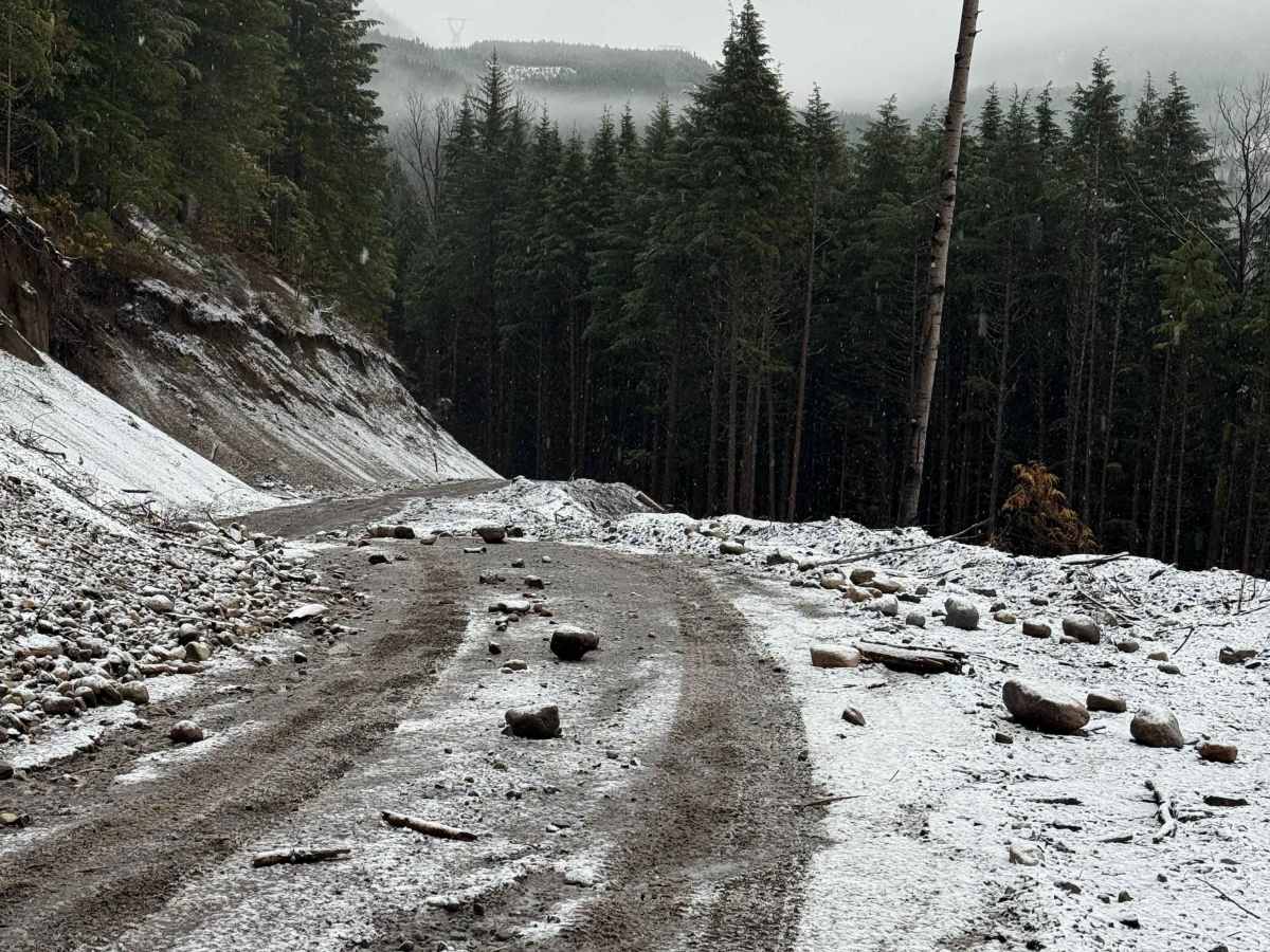 Copper River Road photo 6