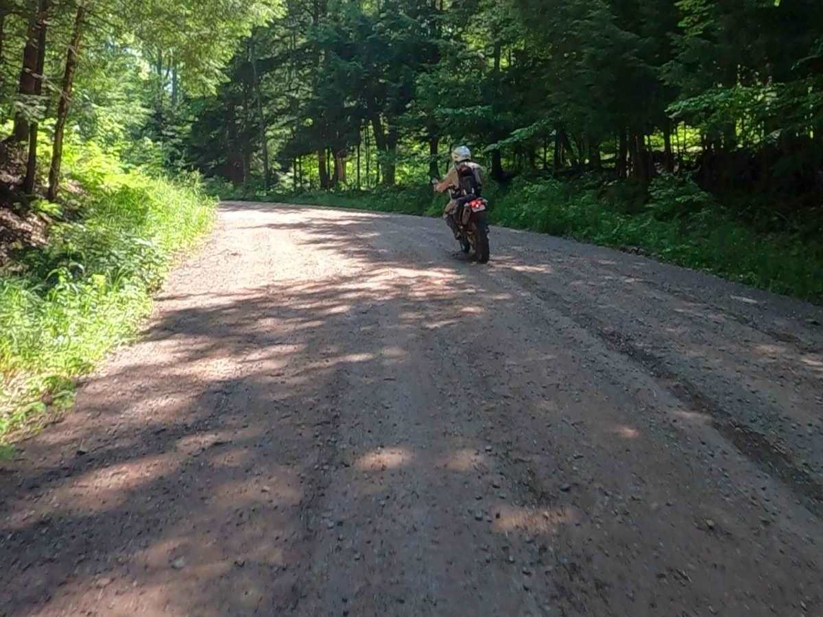 Nelligan Lake - Craig Lake Road photo 6