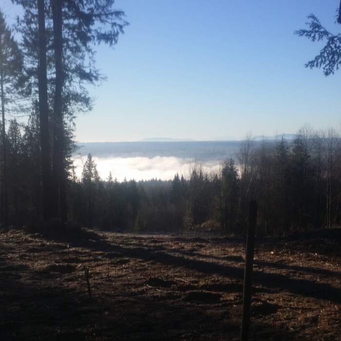 Near Maple Ridge Trail Run