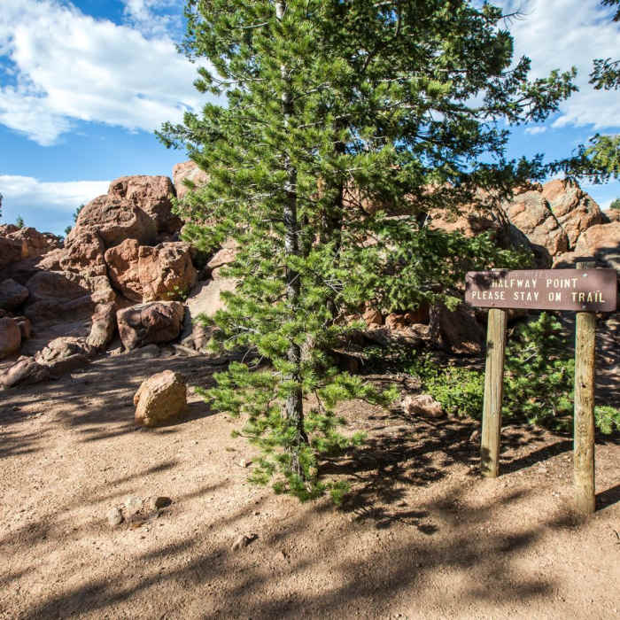 Near Devil's Head Lookout