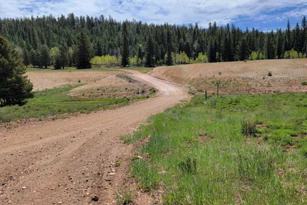 Billingsly Trail