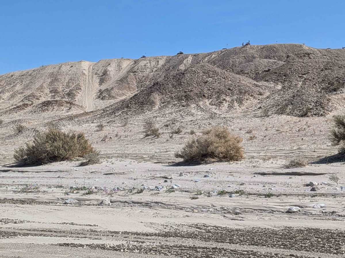 Carrizo Wash South photo 4