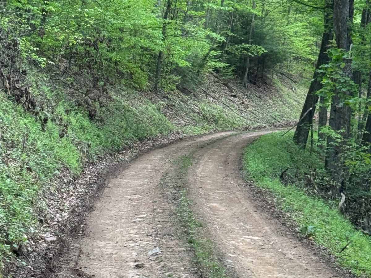 Wildcat Trail photo 5