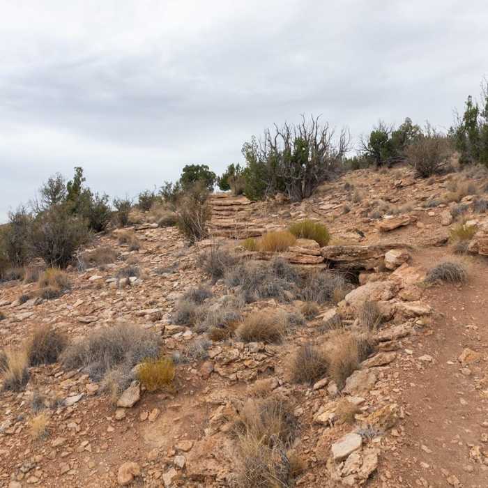 Near Pointe Near Pointe