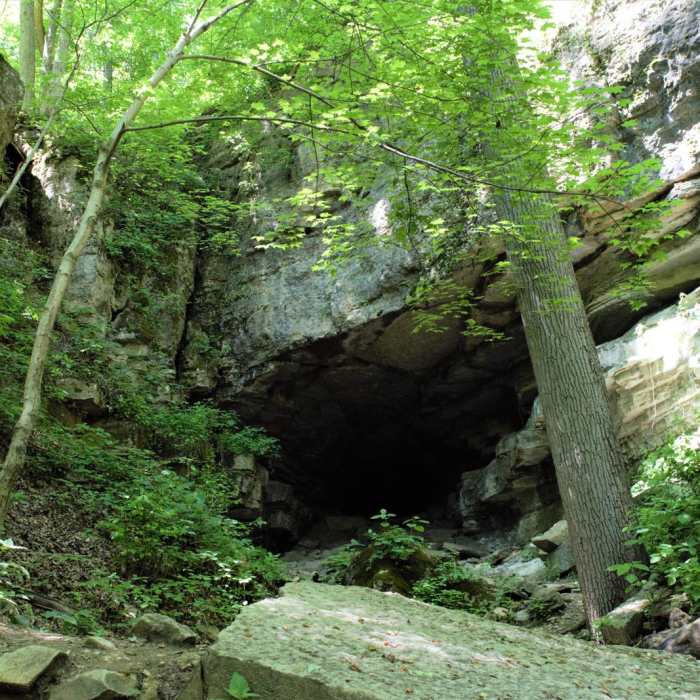 Near Clifty Falls State Park Loop