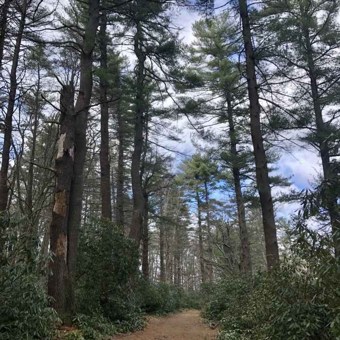 Near Maudslay State Park Loop