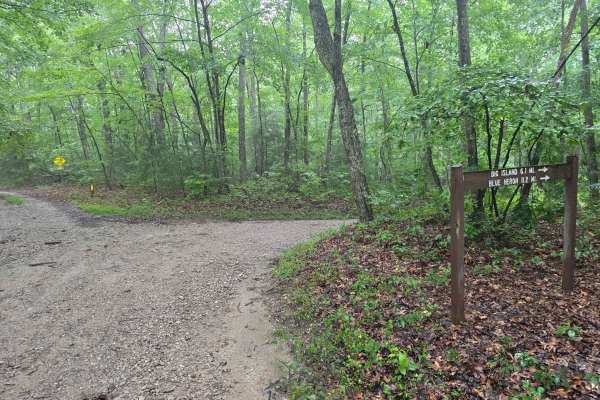 Laurel Ridge Road - FS 637