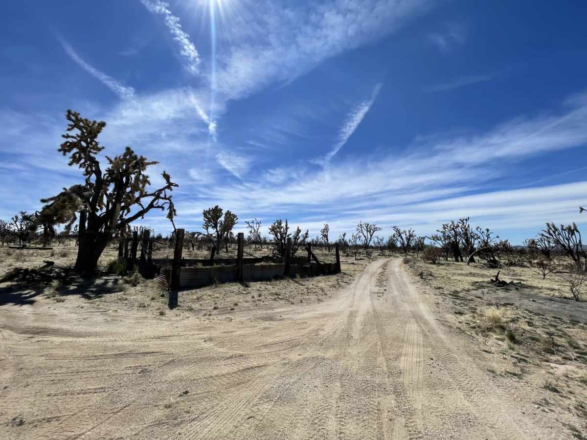 Eastern Aiken Mine Road photo 5