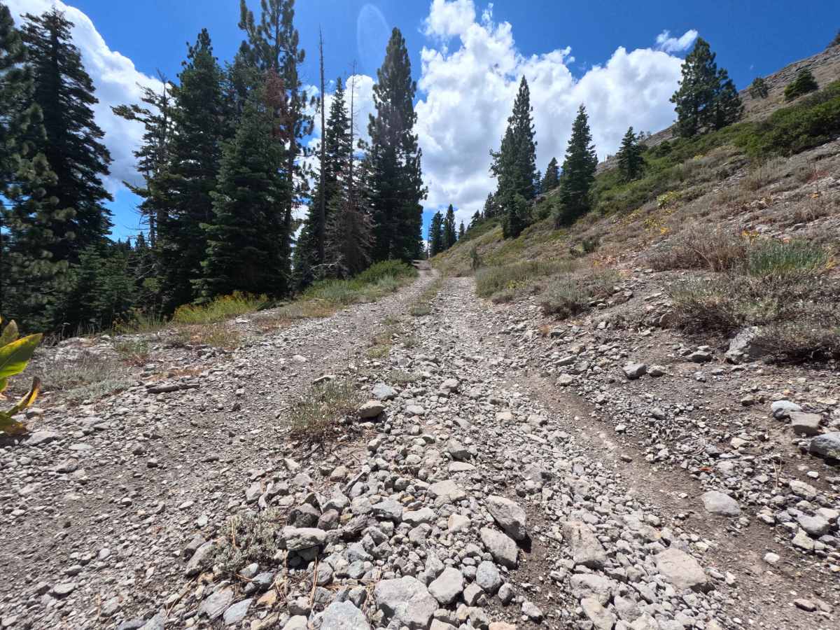 Pole Creek East - FS 5708-002 trail photo