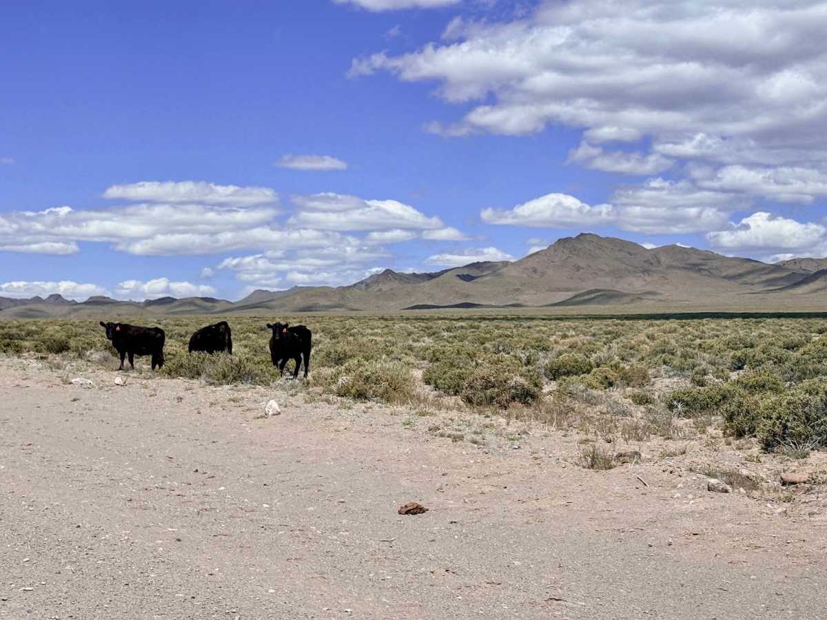  Cloverdale-Peavine Road photo 2