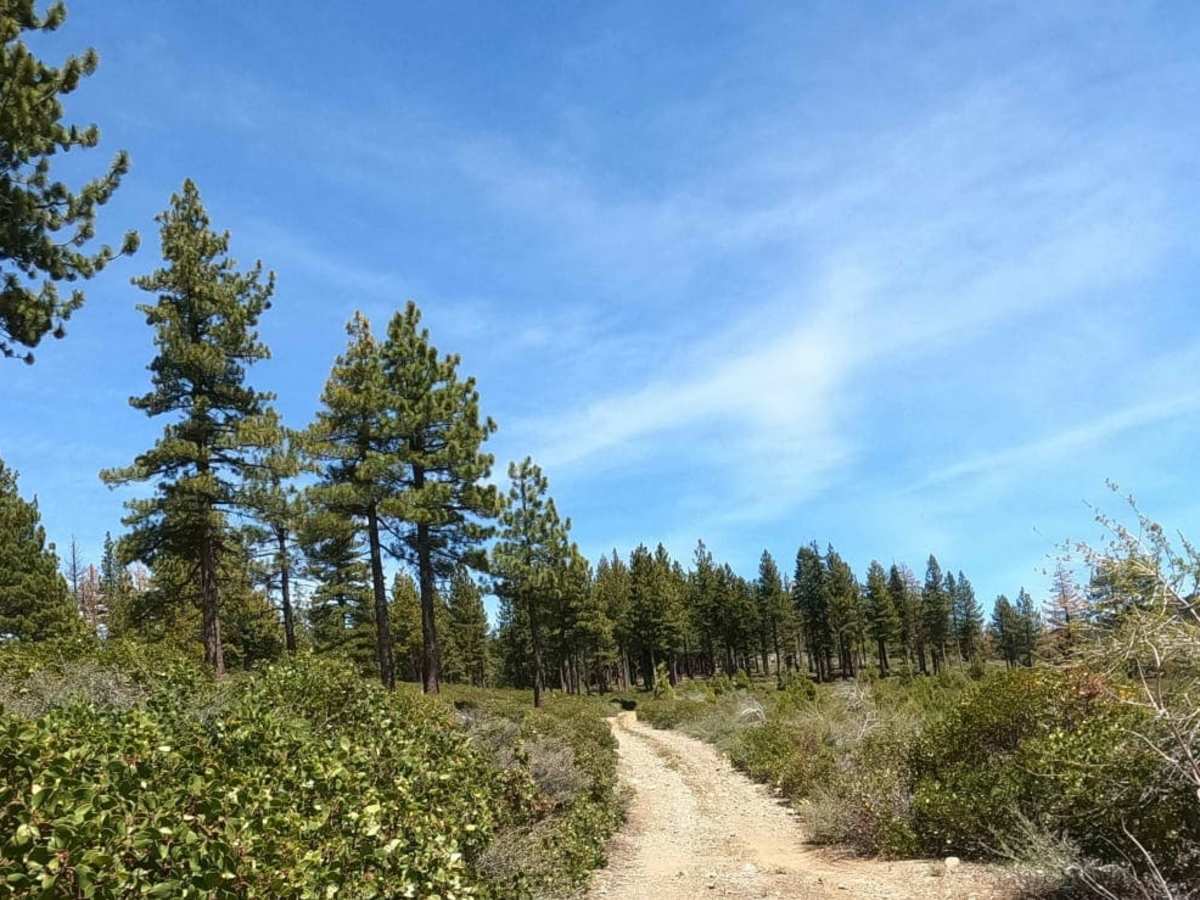 Bonta Ridge - NF23N05Y photo 4