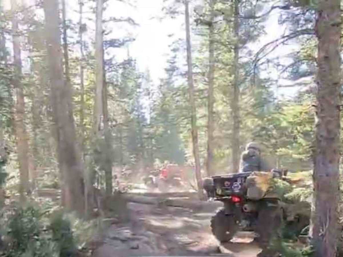 Pacer Lake ATV Trail - 34004 photo 4