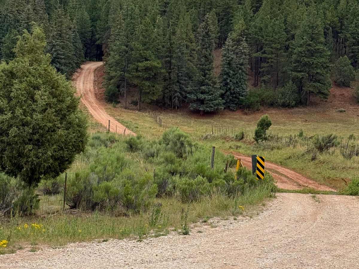 Capulin - FS 76 photo 5