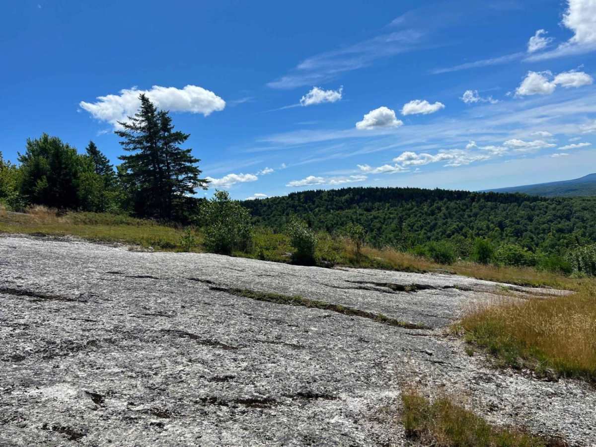 Bald Mountain trail photo