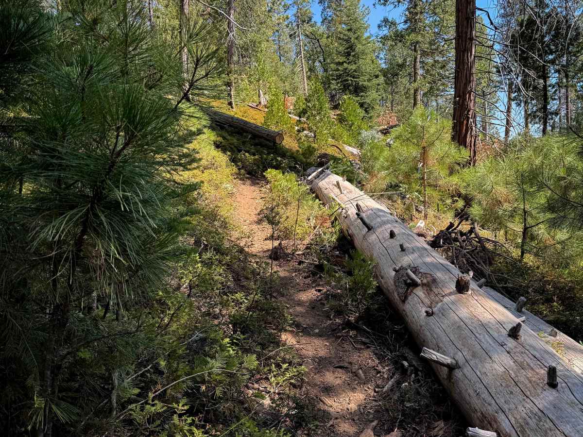 16EV302 trail photo
