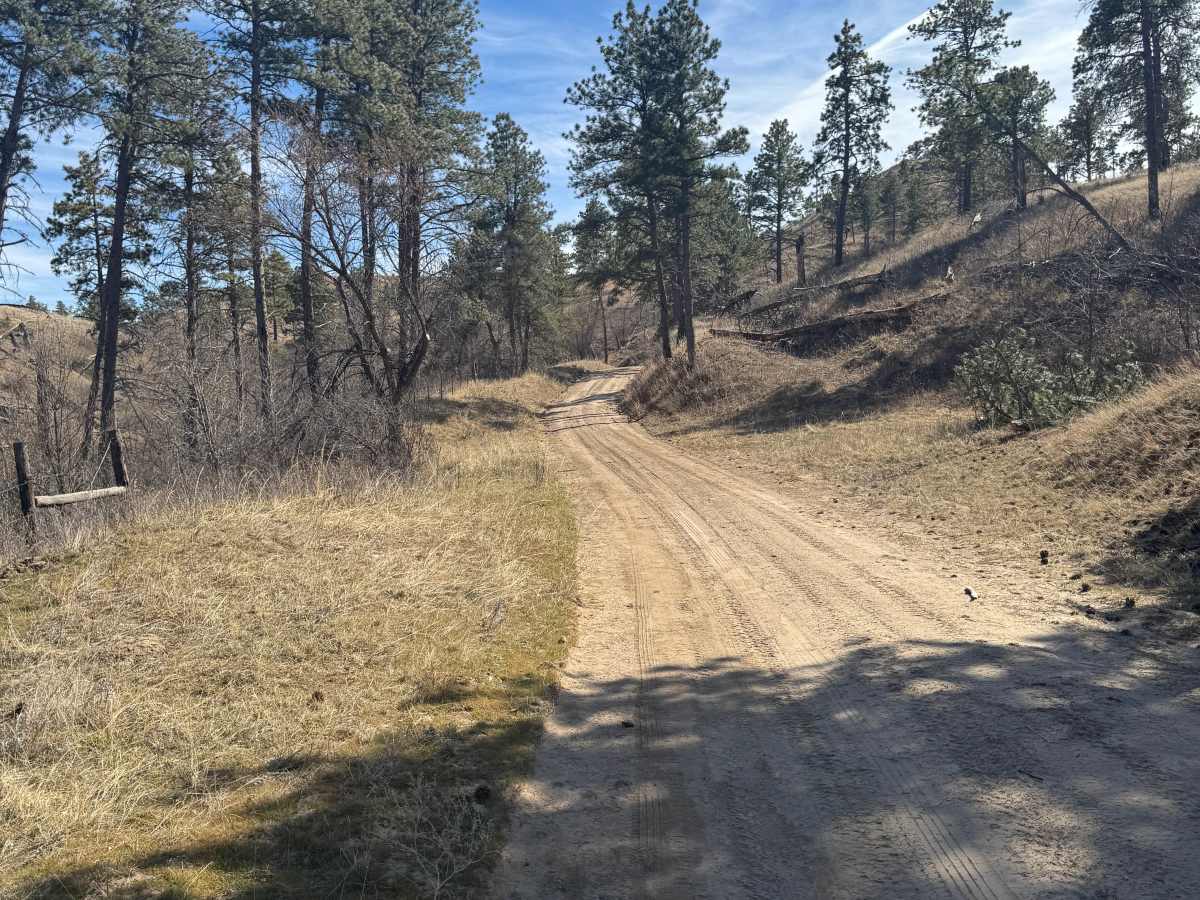 Kings Canyon Trail photo 6