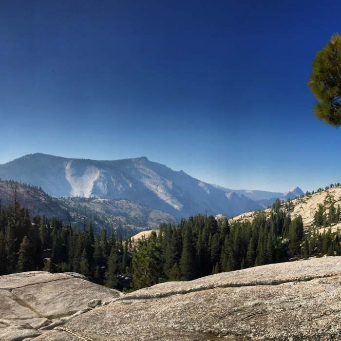 Near Tenaya Lake Trail