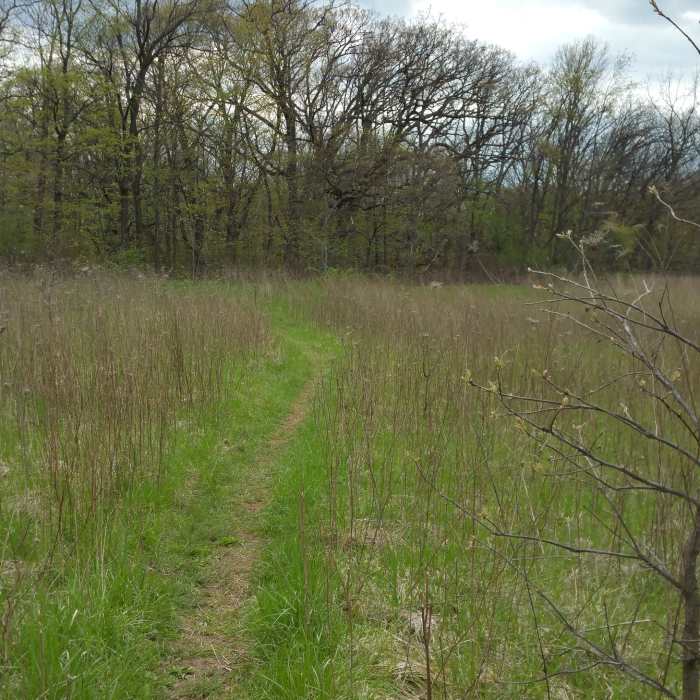 Heading out on the nature trail Near Coral Woods Perimeter
