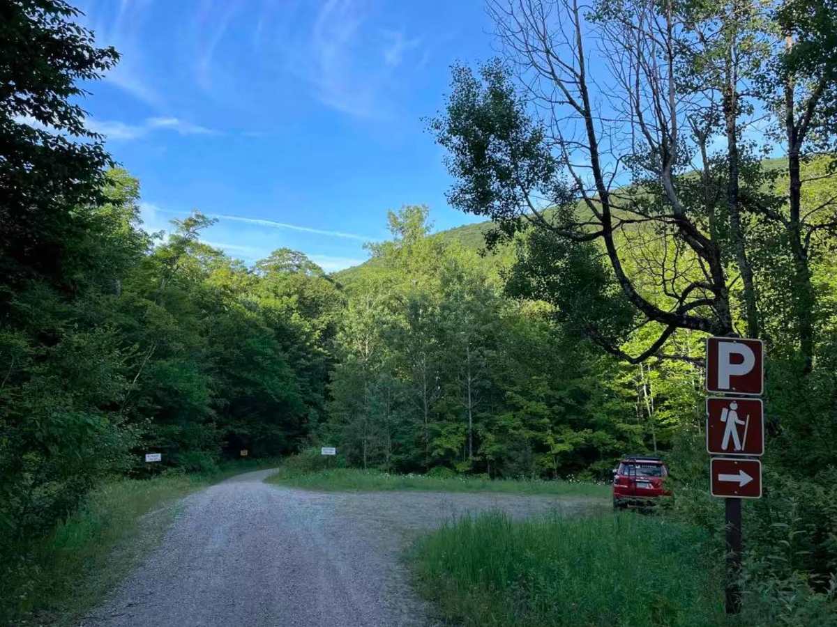 Old Job Rd Trail photo 6