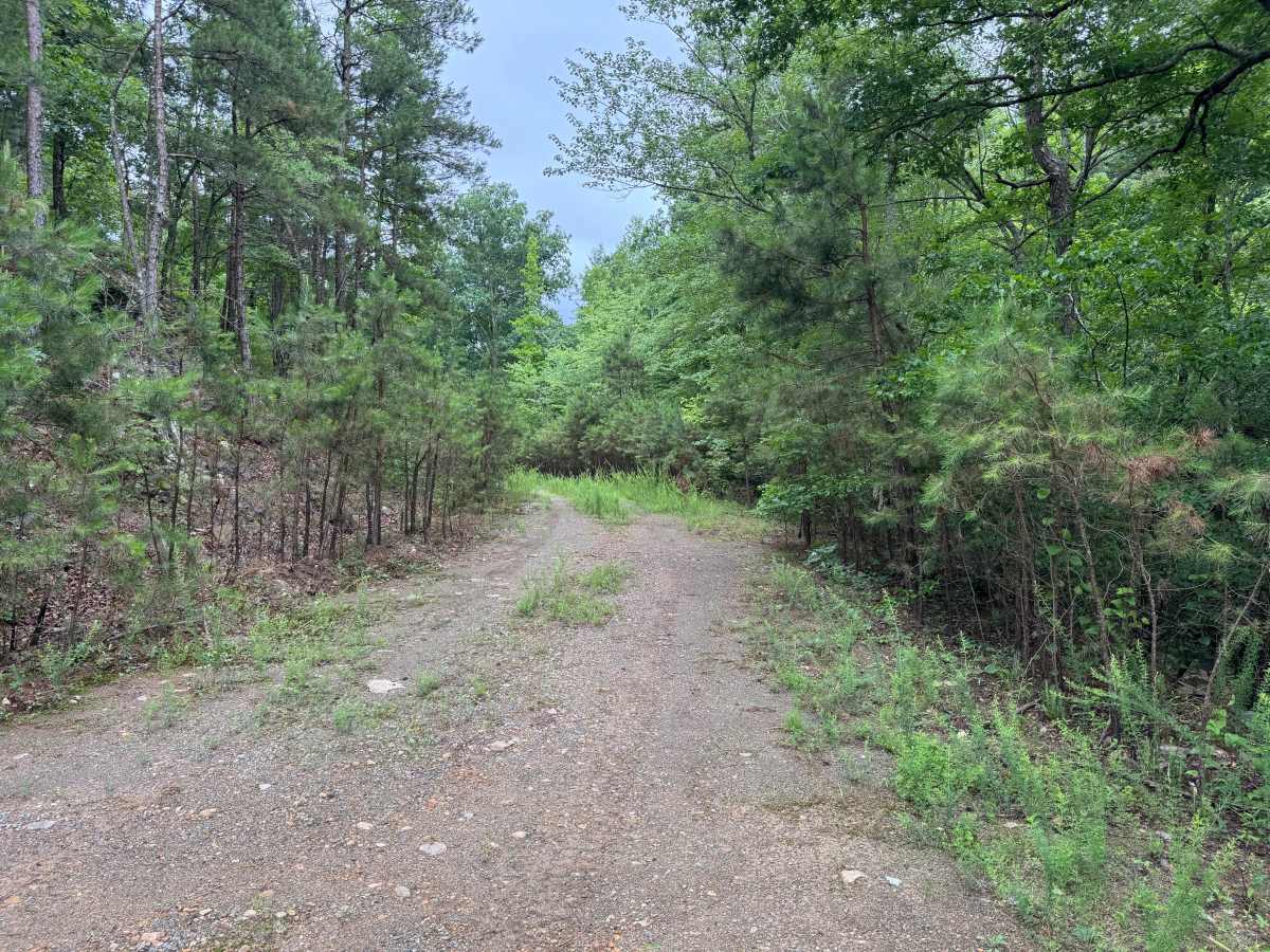 Proctor Mountain photo 5
