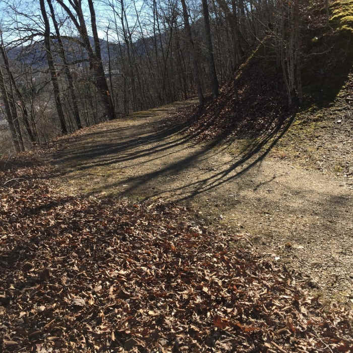 The Garfield Trail is smooth and free of tricky spots. Near Garfield Trail