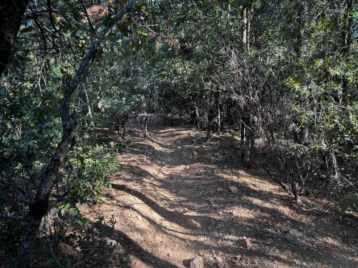 Trail 4-2 (11E25)  photo 6