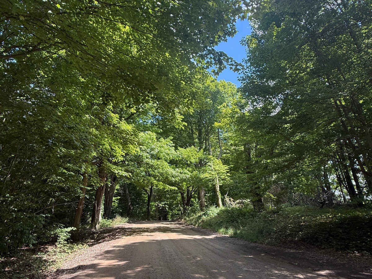 Glenn East Trail photo 2