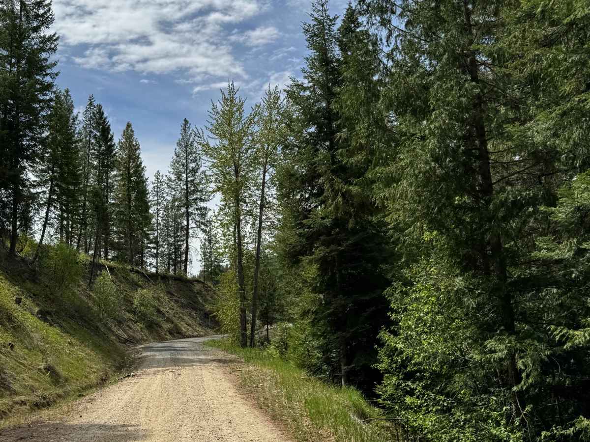 Lane Creek - FS 2000-220 photo 6