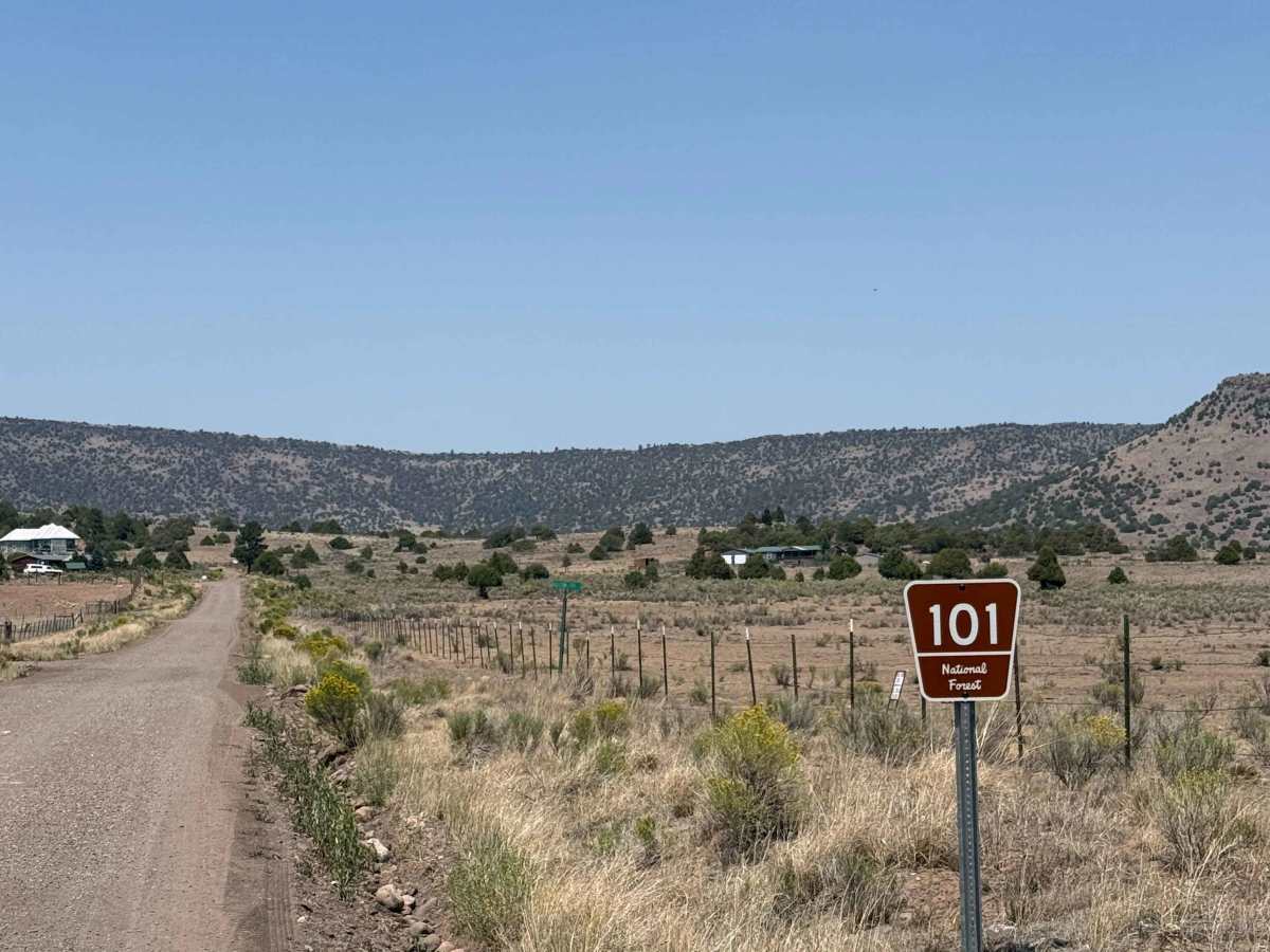 FS 101 trail photo