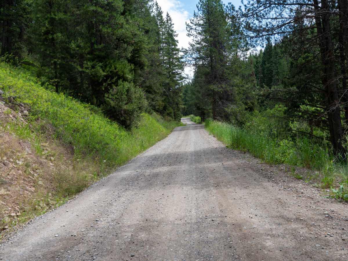 Moser Jumpoff Road trail photo