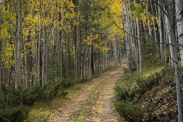 Wuanita Pass Trail - FS 640 