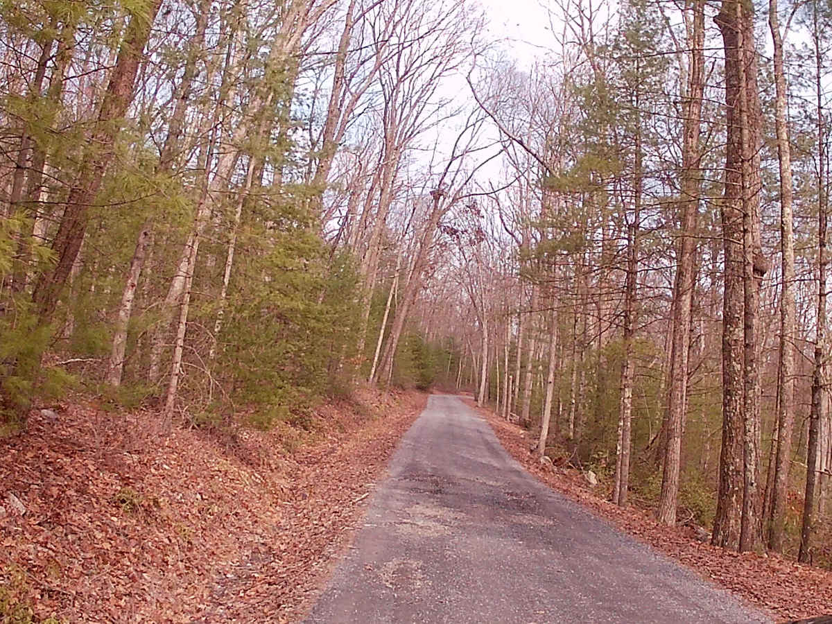 Stone Creek Road photo 6