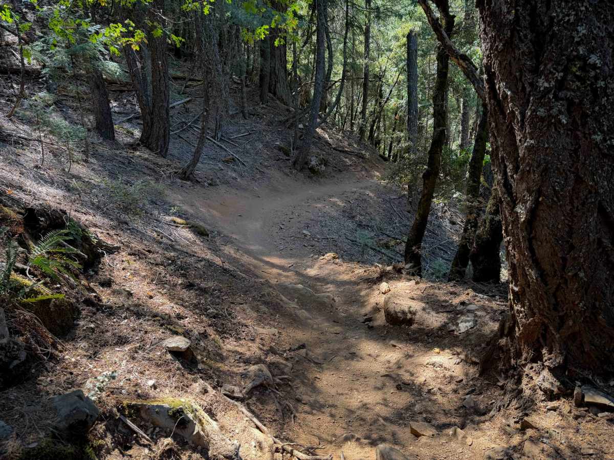 Third Divide  photo 5