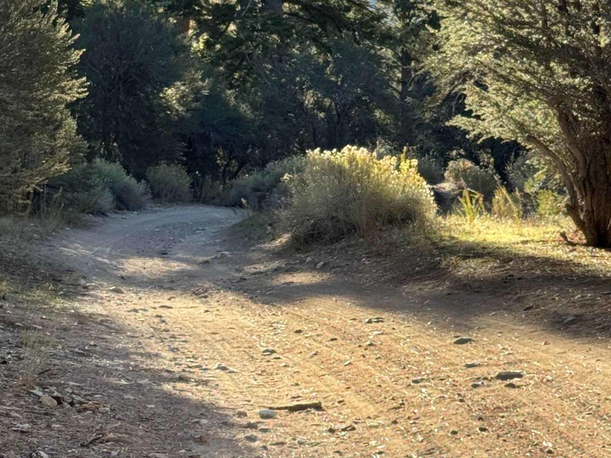 Sand Canyon - FS 2N27 photo 3