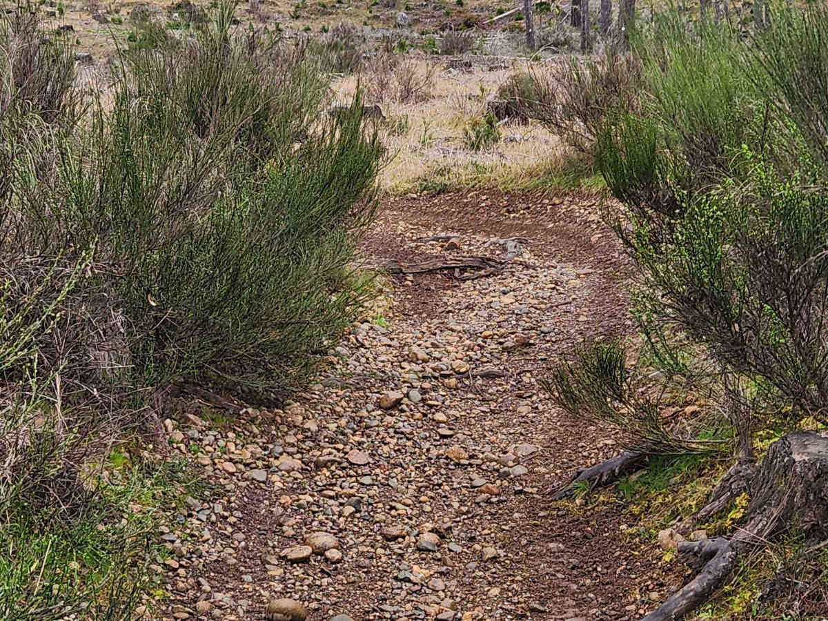 Overland Trail photo 4