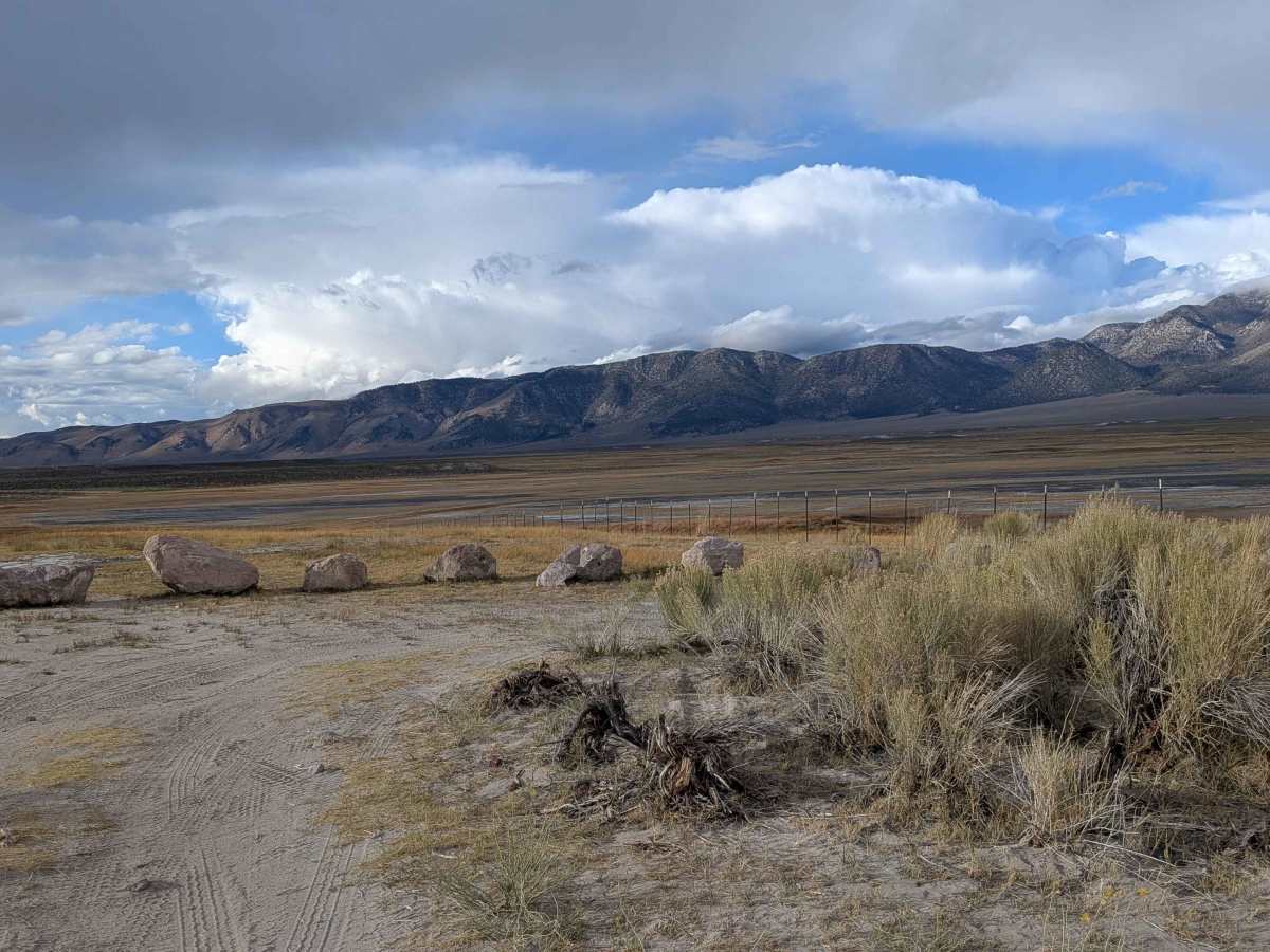 Wild Willy's Hot Springs photo 3