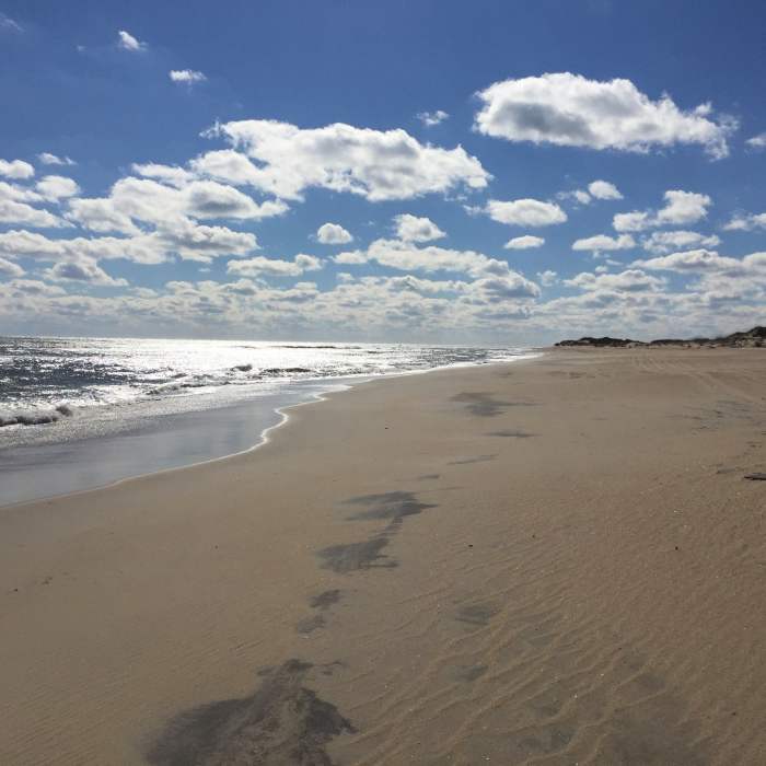 Near Cape Hatteras Point Loop