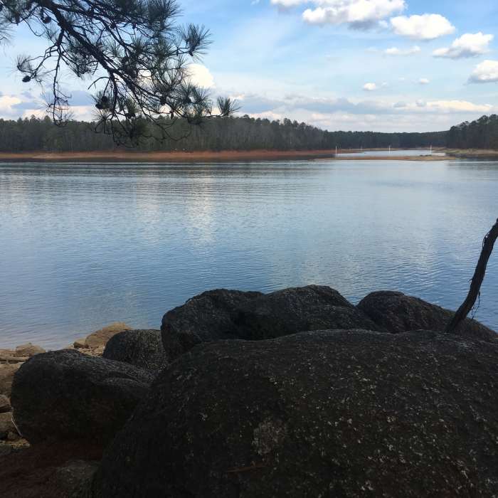 Near White Tail Trail