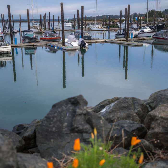 Near Oregon Coast Trail Section 8