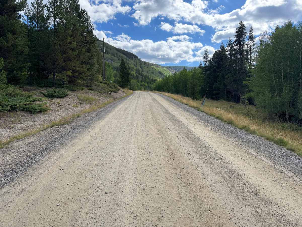 French Gulch Road photo 2