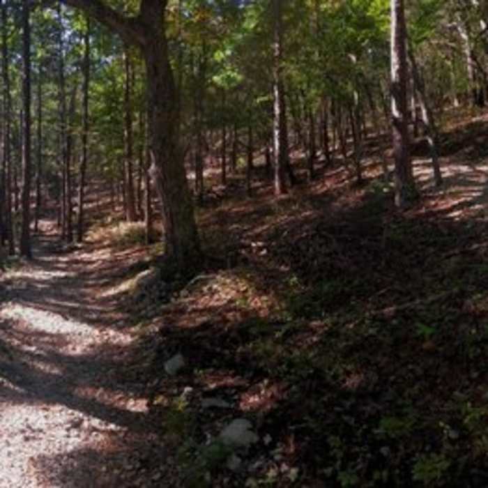 Near Occoneechee Mountain Loop Trail