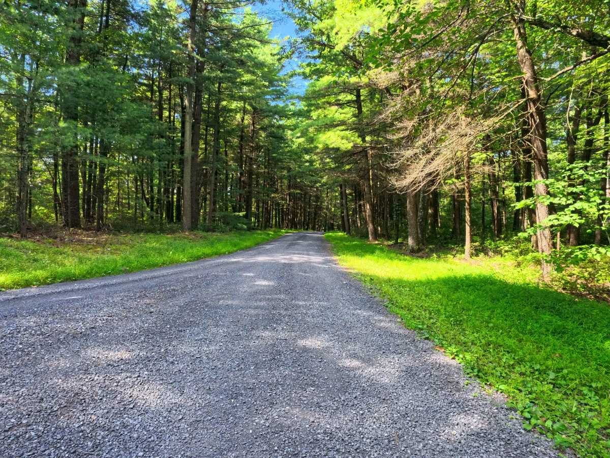 Boal Gap Road trail photo