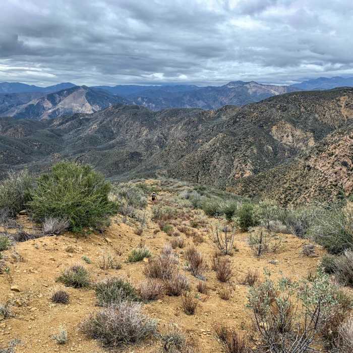 Near Hildreth Peak Road
