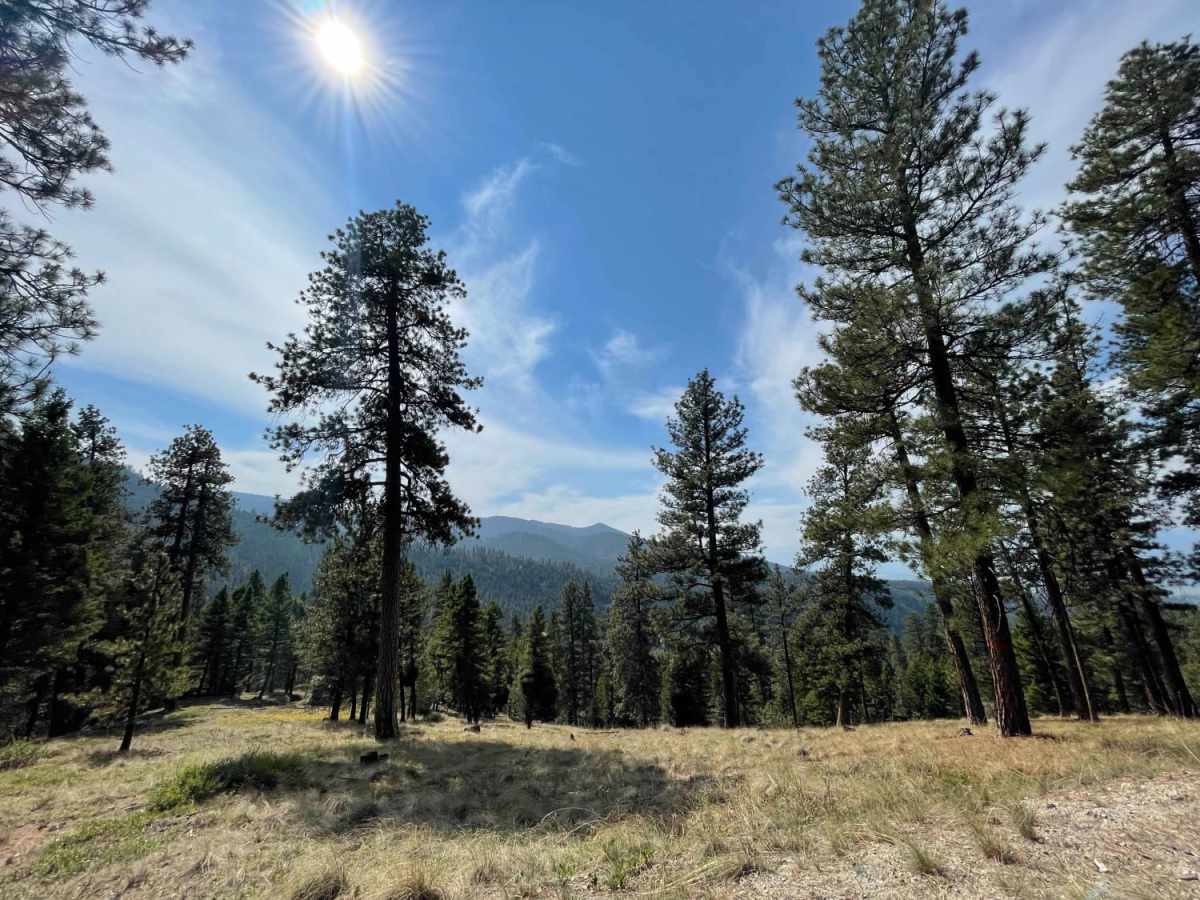 Willow Mountain to Burnt Fork Lake Hiking trail photo 3