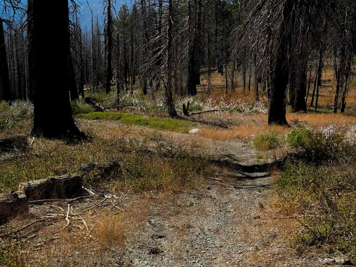 10M29  trail photo