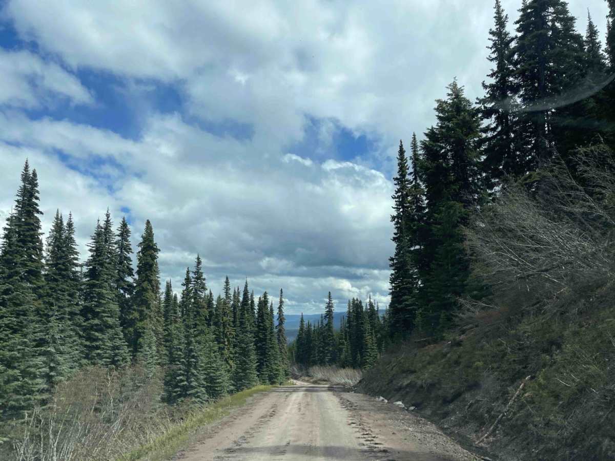 Telkwa 116 Road trail photo