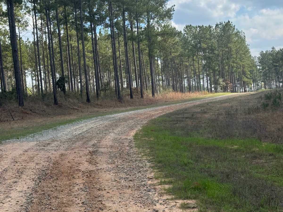 East Entrance Trail photo 3
