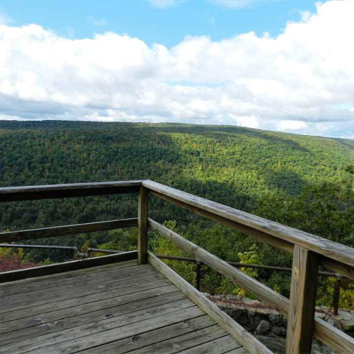 Near Purple Trail