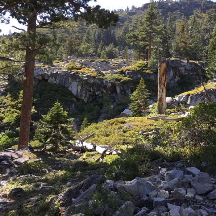 Near Glen Alpine Trail