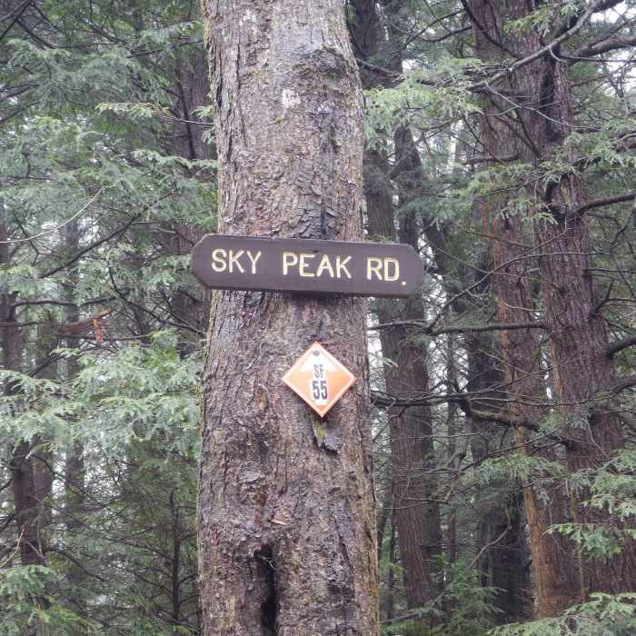 Near Sky Peak Road/Snowmobile SF 55